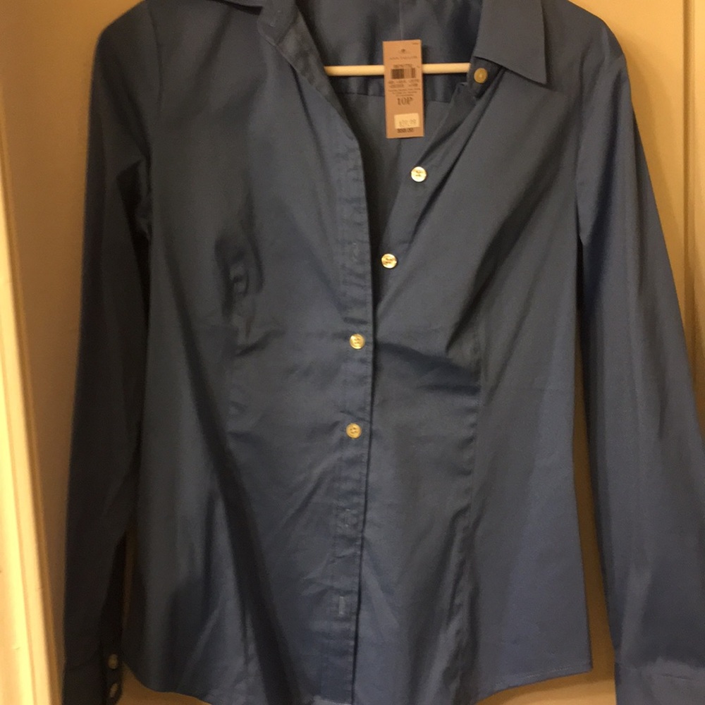 Ann Taylor NWT blue button down blouse